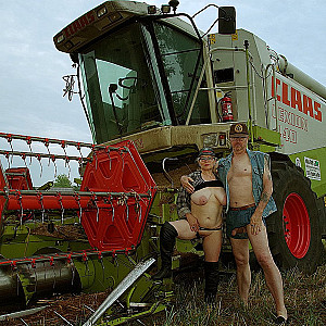 Sommerzeit ist auch Erntezeit Galeriebild