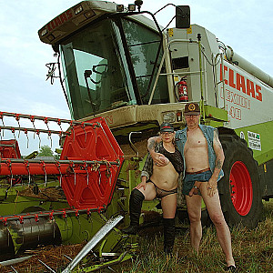 Sommerzeit ist auch Erntezeit Galeriebild