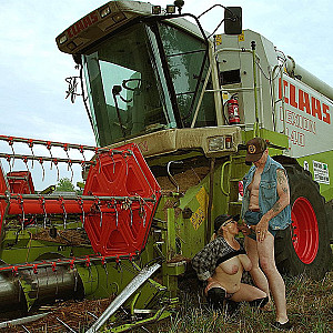 Sommerzeit ist auch Erntezeit Galeriebild