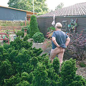 Unten Ohne Slip im Vorgarten Galeriebild