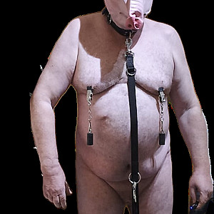 Devotes Schwein RalfAusMS Galeriebild