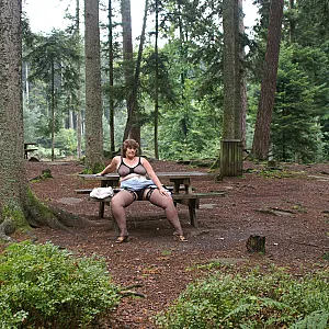 At the forest parking lot gallery image