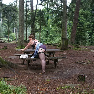 At the forest parking lot gallery image