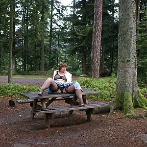 At the forest parking lot gallery image