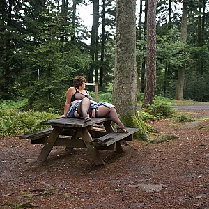 At the forest parking lot gallery image