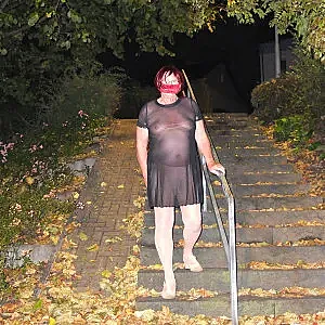 the bitch gallery image