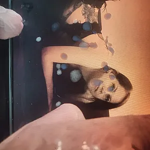 Tribut für SubGirlNina Galeriebild